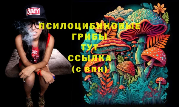 гидра Алексеевка