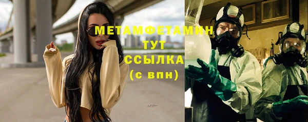 гидра Алексеевка