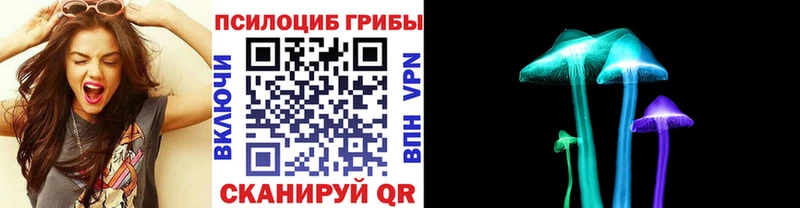 Галлюциногенные грибы Psilocybe  закладки  Осташков 